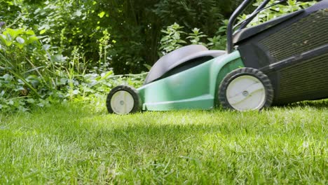 green black lawn mower mows a meadow in a garden in cologne in sunshine