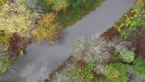 Río-En-Otoño-Por-Drone-Aéreo