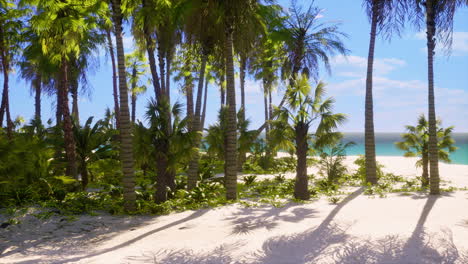 tropical paradise with white sand and palm trees
