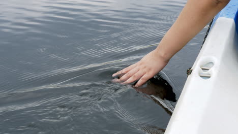 hand touching water in the forest river or lake