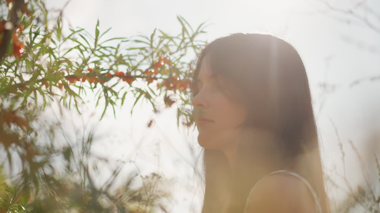 햇빛을 받은 역광의 여인이 들판에 있는 모습, 키 큰 풀과 야생화 사이에서 사색에 잠긴 여인의 클로즈업 슬로우 모션 장면, 따뜻한 황금빛, 부드러운 보케, 보헤미안 분위기, 마음 챙김 수련, 모델 포즈