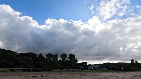 clouds moving over a beach with trees