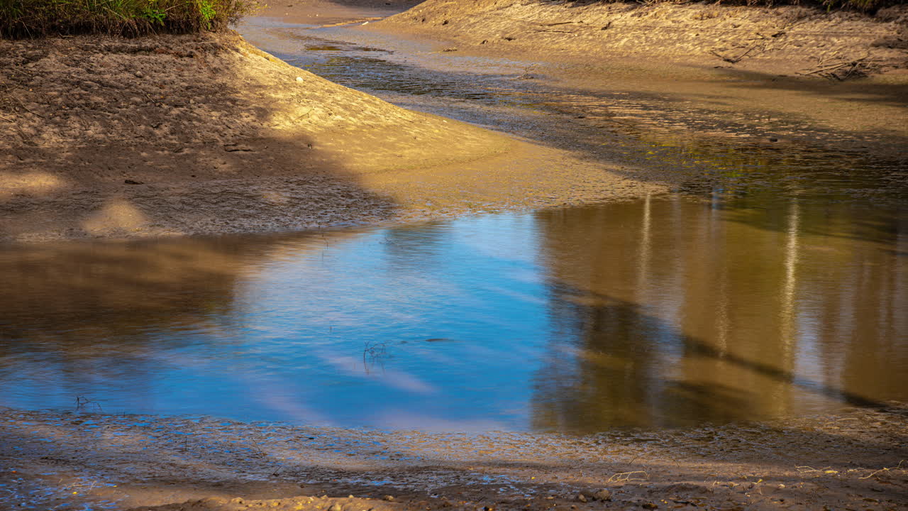 Tranquil Reflections in a Still Pond