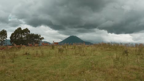 deer running on grass hill with dramatic volcano landscape and clouds in background, stormy weather, aerial