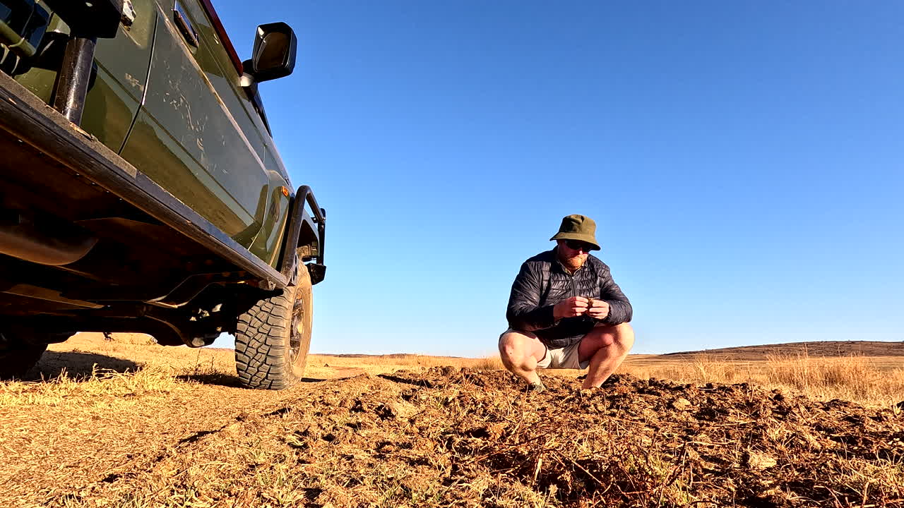 Experienced game ranger inspects rhino dung next to safari vehicle, low POV