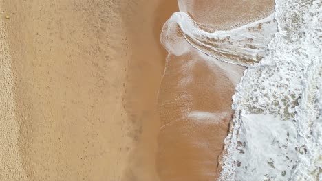 top-down aerial shot of green waves crashing at an empty beach shore shot with a drone in 4k