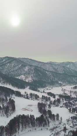 giant forestry mountains with coniferous trees covered with snow. wild nature in seismologically active area of gorny altai on winter day aerial view