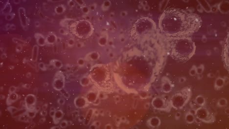 Animation-of-moving-cells-over-red-background