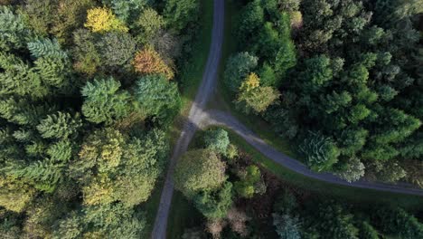 Top-shot-of-hiker-walks-on-jogging-track-in-the-urban-forest-of-Rapperswil-Jona-in-northeastern-Switzerland_autumn-season