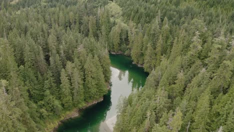 a beautiful river that runs through a patch of forest on vancouver island