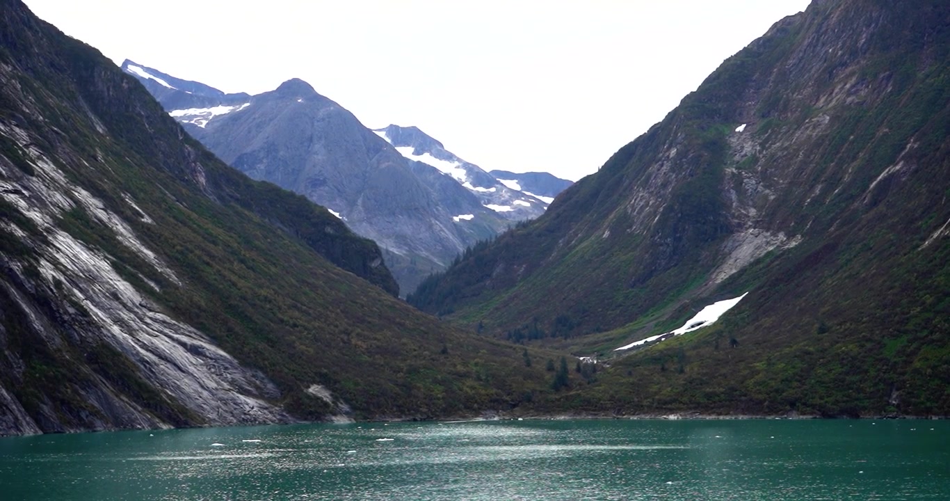 Vihreä sammalpeitteinen laakso Tracy Arm -vuonossa, Alaskassa.