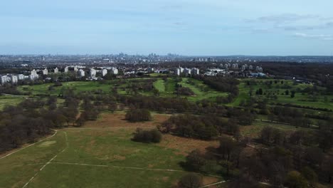 arial drone view of richmond park and london city