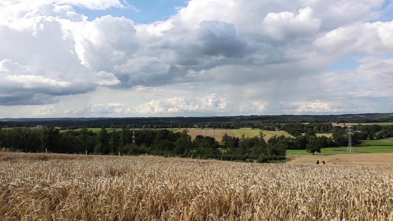 Un campo di erba alta con un paesino a Menden Sauerland
