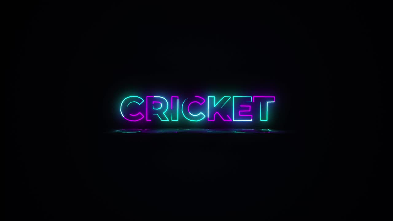 Flashing VOLLEYBALL electric green and pink neon Sign flashing on and off with flicker, reflection