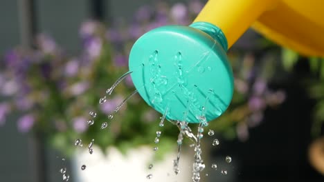 watering plants with a colorful watering can