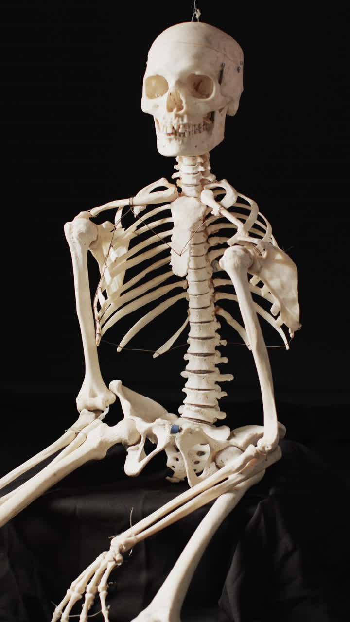 Vertical video of halloween skeleton with copy space on black background