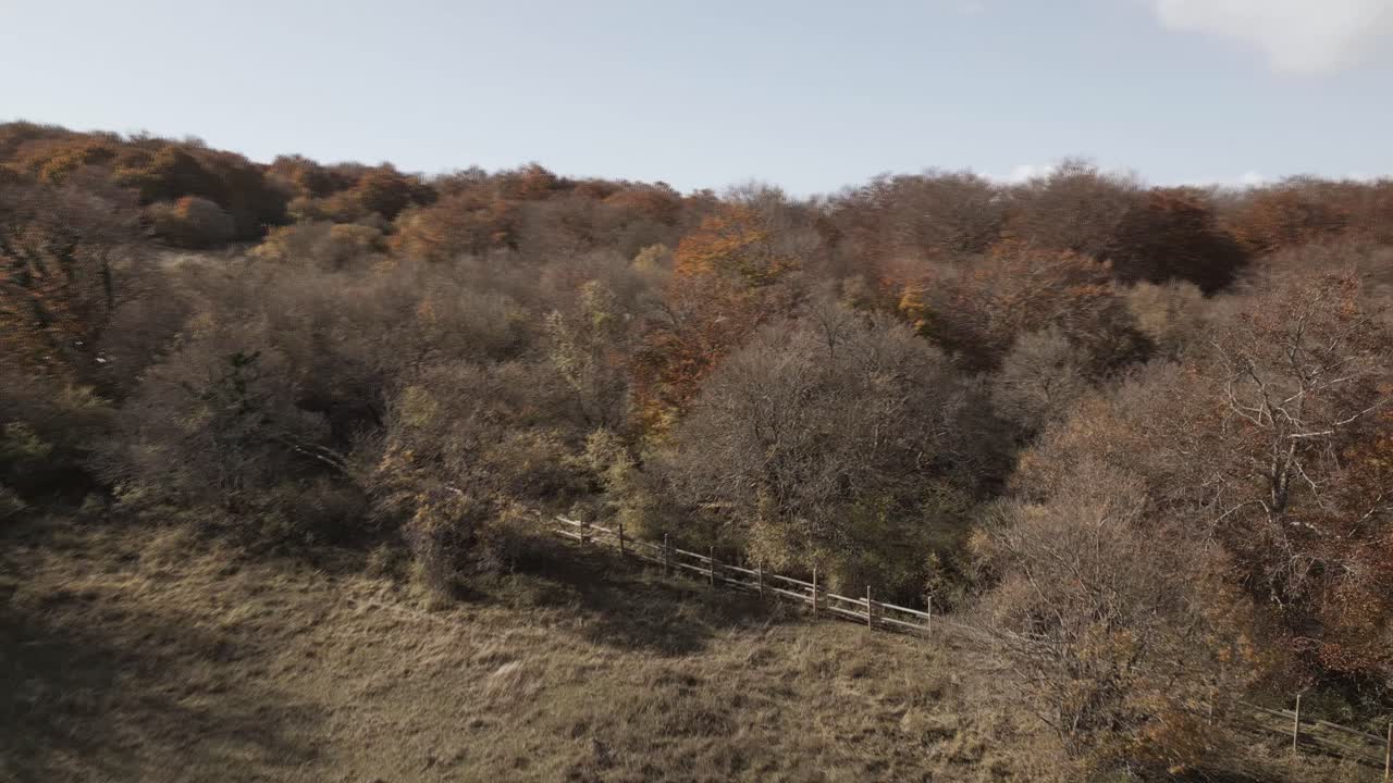 una grabación de un avión no tripulado sobre el hermoso bosque de haya de canfaito con colores de otoño