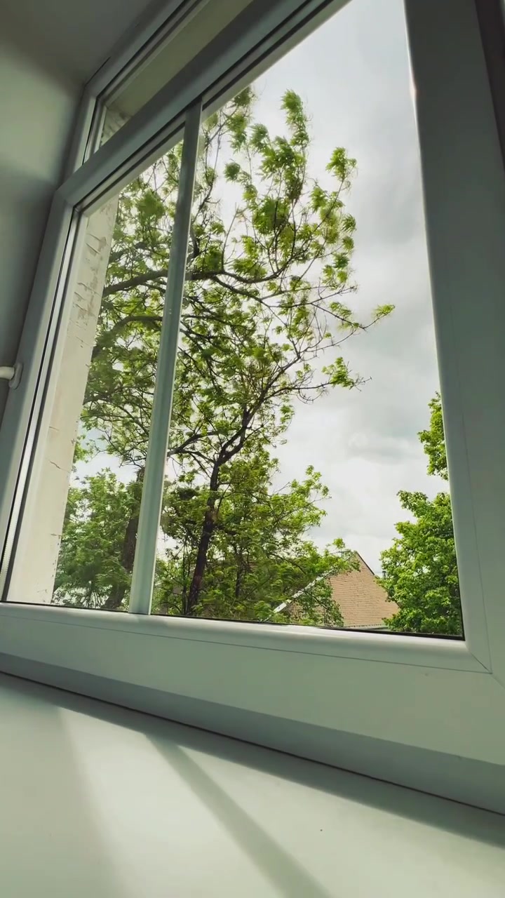 Interior POV shot looking through a white plastic window frame at trees blowing in windy weather. Useful asset for real estate, home insulation, or weather-related media.