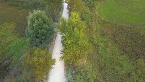 unknown person jogging on dirt road between trees - aerial top down view