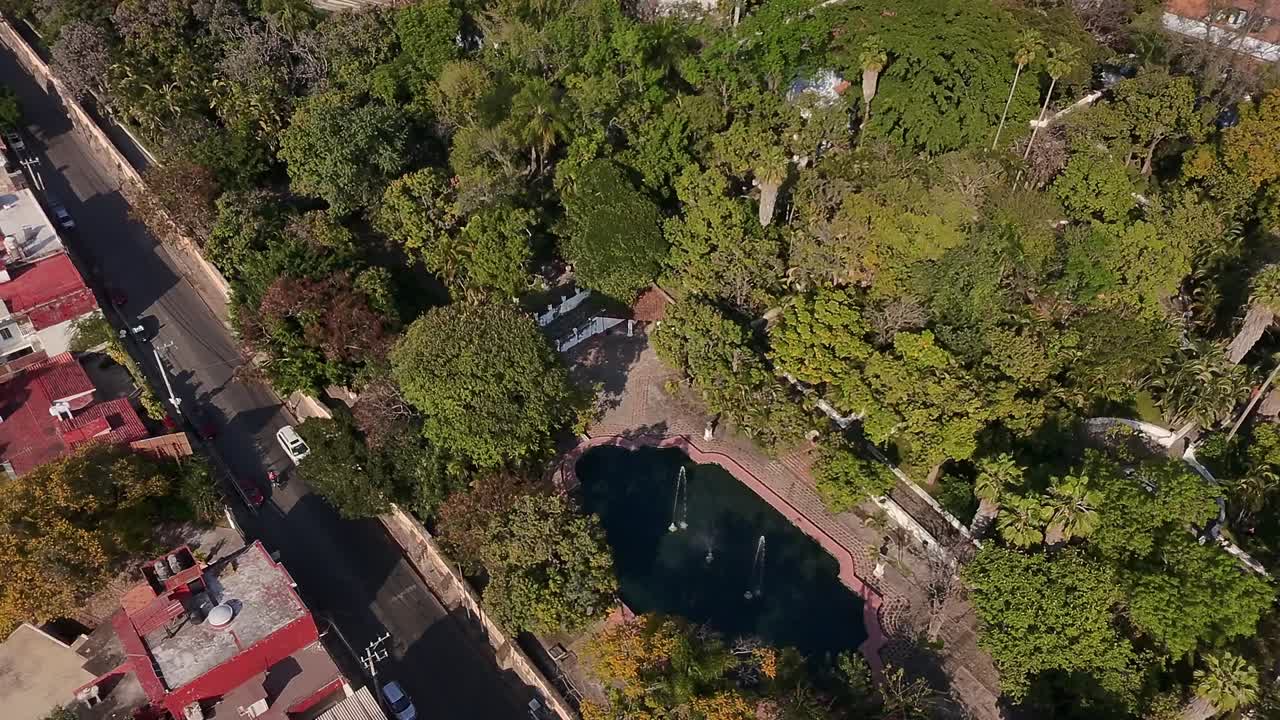 Lush green landscape of Cuernavaca with trees and a pond, aerial view