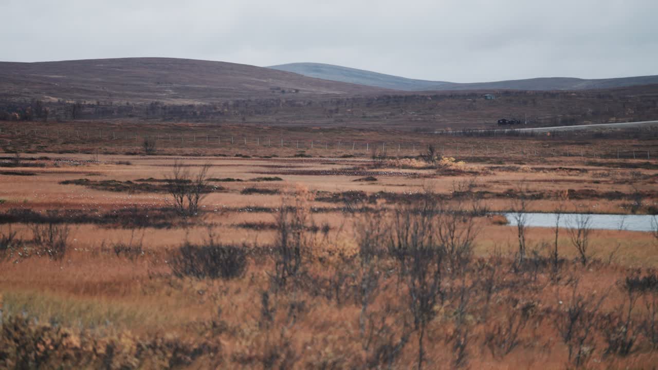 un desolado paisaje otoñal del valle stokkedalen en el norte de noruega
