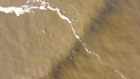 Drone-Vista-Aérea-De-Pájaro-De-Las-Líneas-De-Oleaje-Del-Océano-Con-Surfistas-Esperando-En-Fila-Olas-De-Espuma-Costa-Aguas-Pluviales-Costa-Central-Nsw-Australia-4k