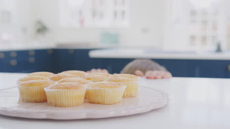 Close-Up-Of-Boy-Reaching-To-Take-Freshly-Baked-Homemade-Cupcake-From-Plate-In-Kitchen-At-Home