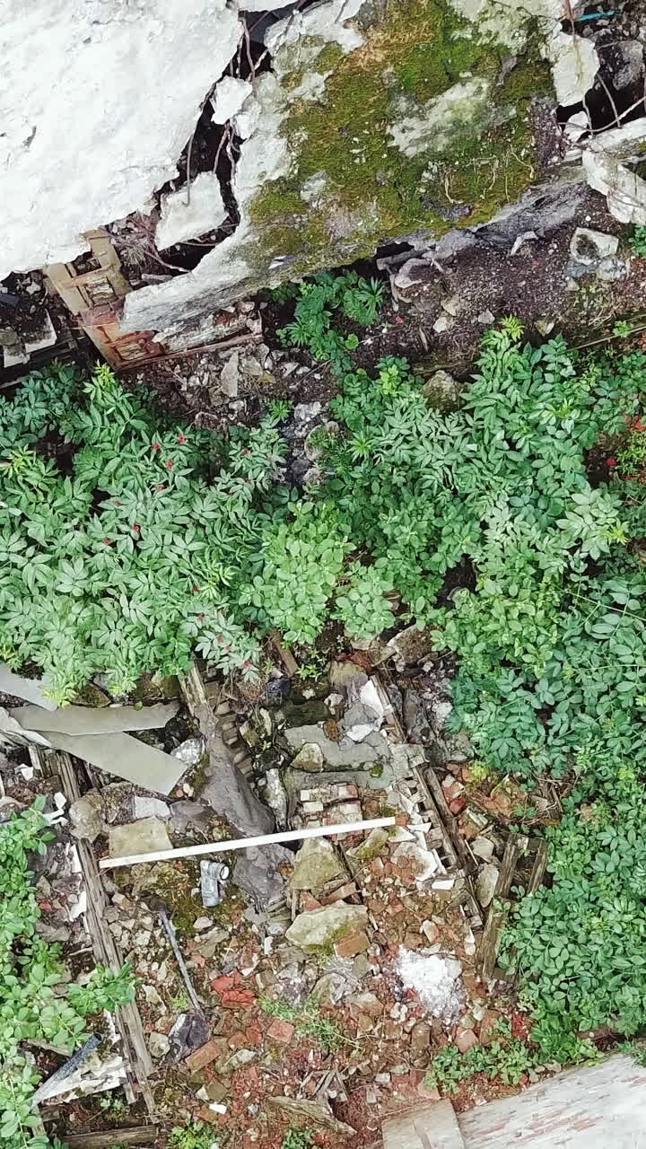 Ruins of abandoned old broken industrial factory or warehouse buildings after disaster, war or cataclysm. Vertical video