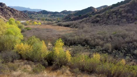 Pico-Canyon,-California-Y-Sus-Colores-Otoñales