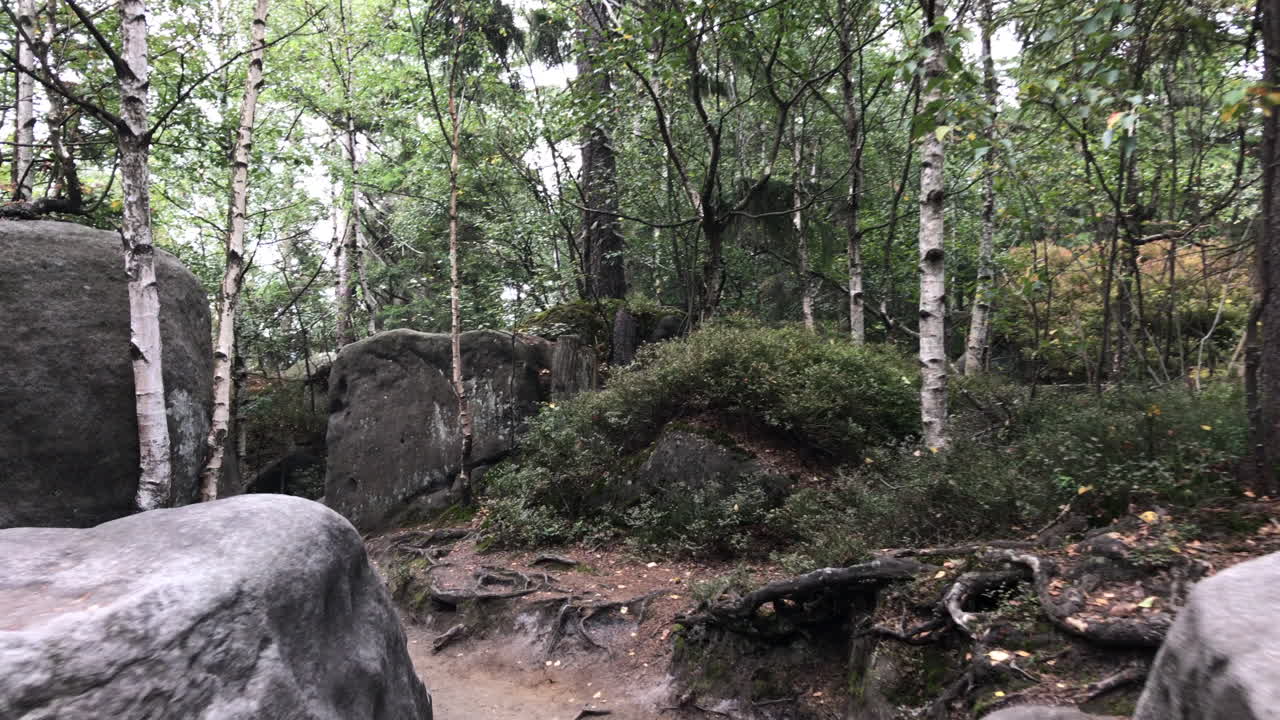 바위 블록을 통해 걸어