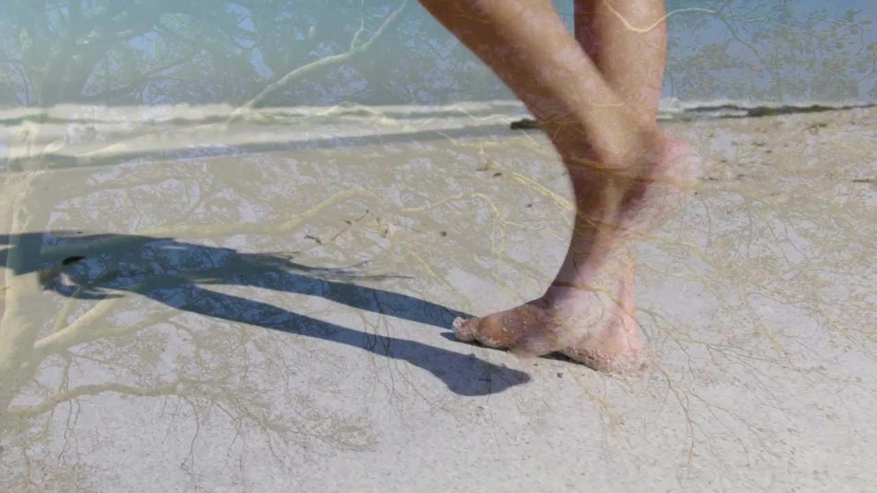 Donna che cammina a piedi nudi su una spiaggia assolata per la salute, calpestando la sabbia bagnata e lasciando impronte.