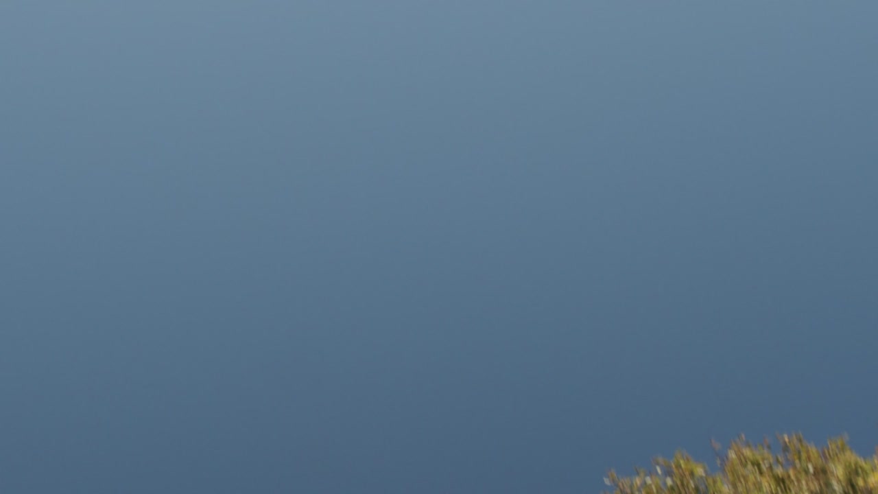 인스타그램 9:16 프레이밍, 푸른 하늘과 프레임을 통과하는 나무