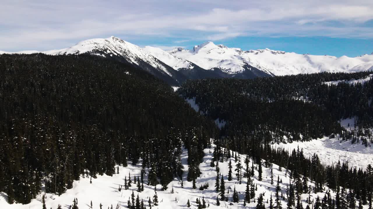 impresionante escena de hermosos bosques siempre verdes cubiertos de nieve con majestuosos picos montañosos en el fondo