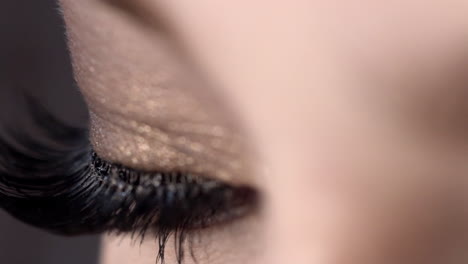 primer plano del maquillaje de los ojos
