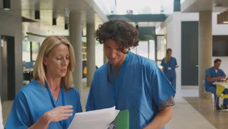 medical staff in scrubs discussing patient notes have informal meeting in busy hospital