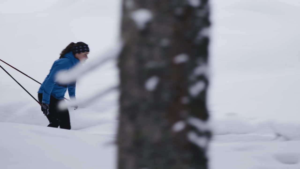 겨울 숲에서 크로스컨트리 스키를 타는 여자