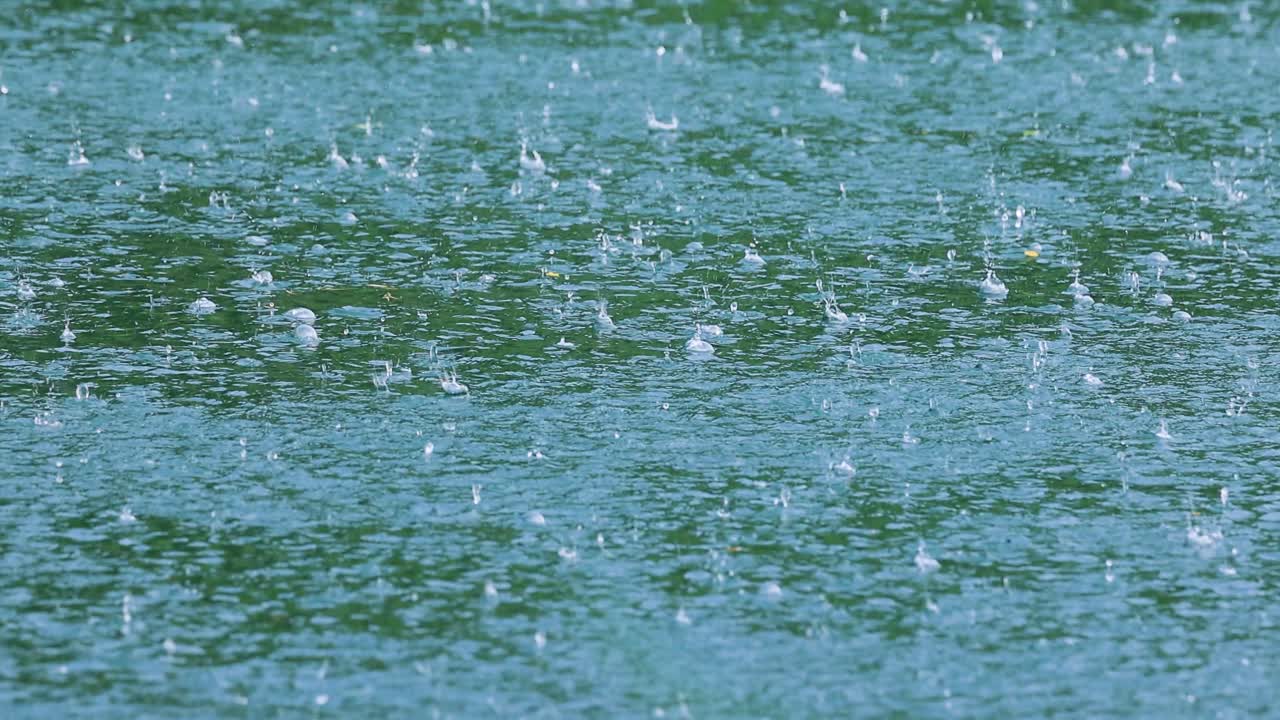 추상적인 배경, 물 위에 방울이 떨어집니다.