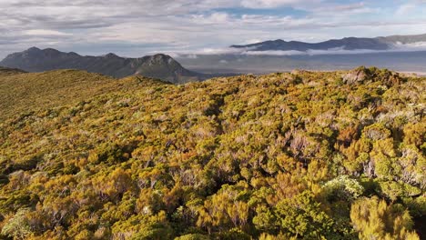 Lush-green-vegetation-and-mountain-scenery-of-Stewart-Island,-Rakiura