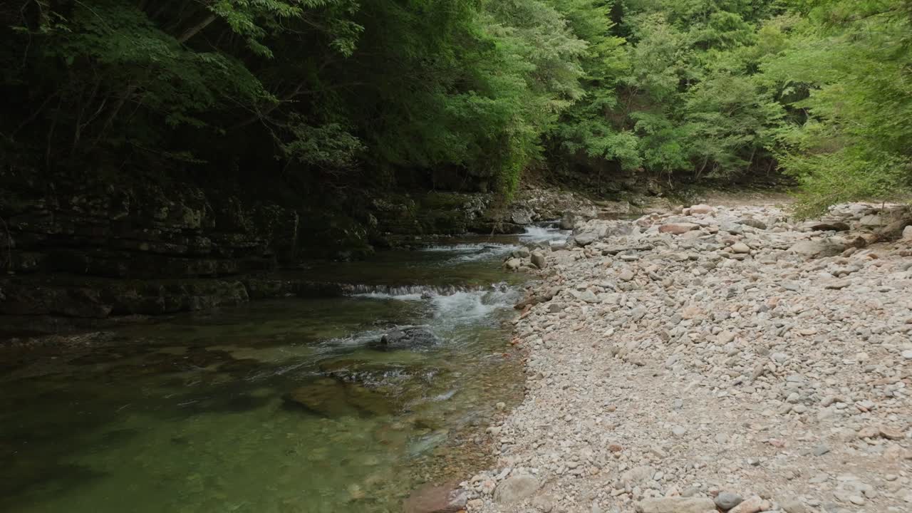 Primo piano aereo con drone di un fiume dal flusso zen in una foresta rocciosa giapponese, valle verde, acqua pulita, nella zona di un tempio shintoista, POV in prima persona.