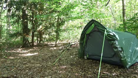 panorama view of camping and perfectly installed tourist tent in the forest