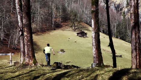 huyendo hacia la naturaleza en los bosques de suiza solo