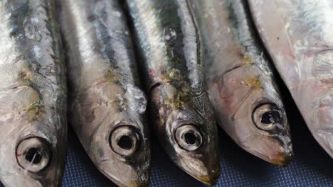 fresh anchovies