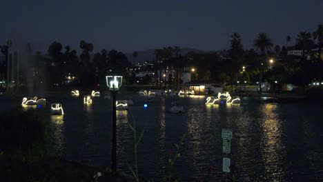 swan boats in local lake