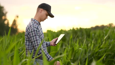 Bauer-Bei-Sonnenuntergang-Auf-Einem-Feld-Mit-Einem-Tablet-Computer.-Zeitlupe