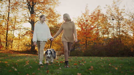 mother and daughter walk the dog together in the park at sunset