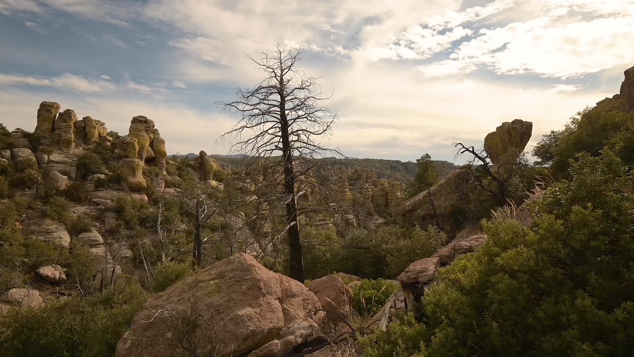 monumento nacional chiricahua, lapso de tiempo de hoodoos y árbol desnudo