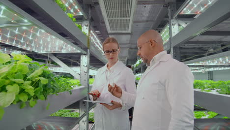 biologist puts sprout in test tube for laboratory analyze. two scientists stand in greenhouse. they are dressed in white uniform disposable gloves and eye