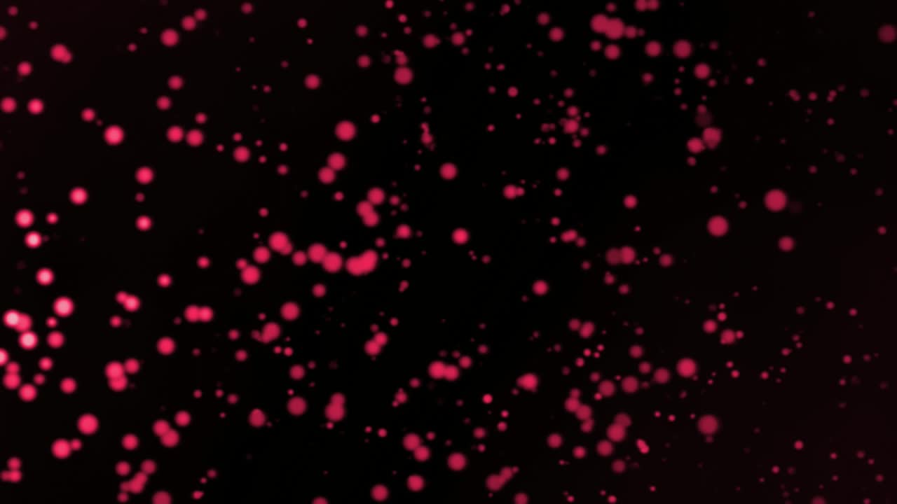 반대 방향으로 천천히 움직이는 적색 입자 필드