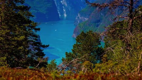 Aerial-time-lapse-of-cruising-boats-on-blue-colored-Fjord-between-norwegian-mountains-during-sunny-day-in-autumn---Wide-shot-between-colorful-leaves-of-trees