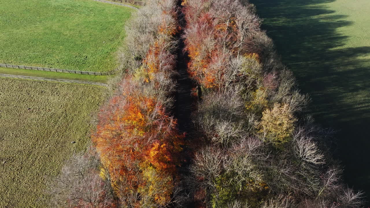 vista de un avión no tripulado de una carretera forestal en el campo